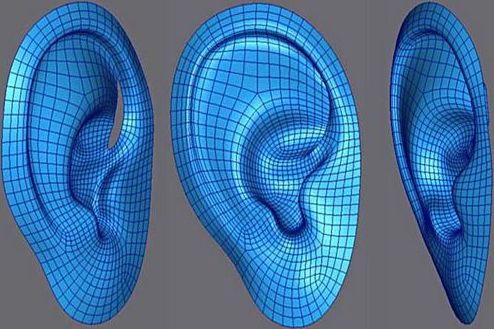3D打印人体器官是真的吗